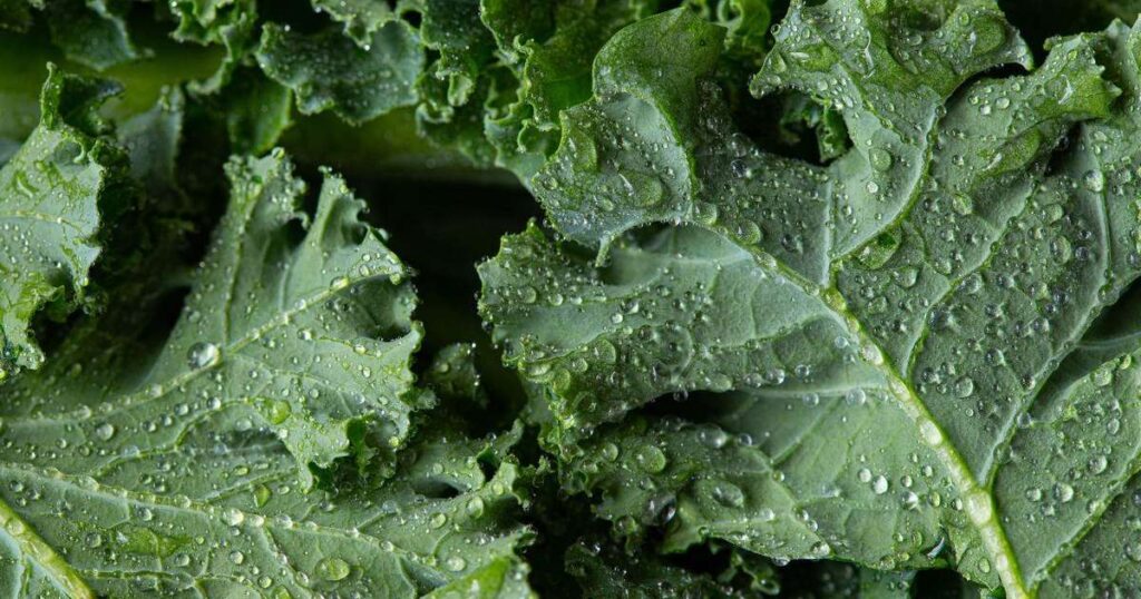 Prato colorido com alimentos ricos em fibras como leguminosas, hortaliças e frutas