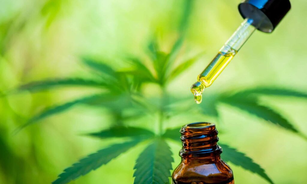 Consulta médica sobre o uso de canabidiol para manejo da dor perioperatória